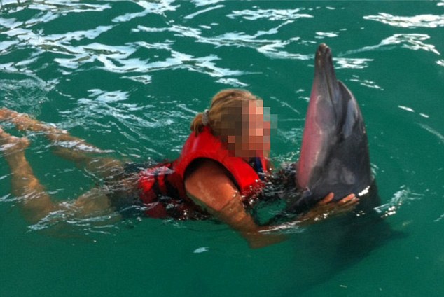 One of the dolphins trapped in the Bali Wake resort pool - suffering a clearly inflamed skin issue.